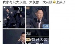 港星综艺爆料最新一期视频,明星幕后故事大曝光