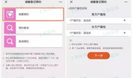 爆料结婚登记流程视频,视频爆料带你一窥究竟