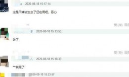 爆料陈赫火锅店原创视频,美食背后的故事与魅力